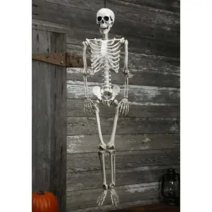 Plastic Realistic Skeleton Halloween Decoration