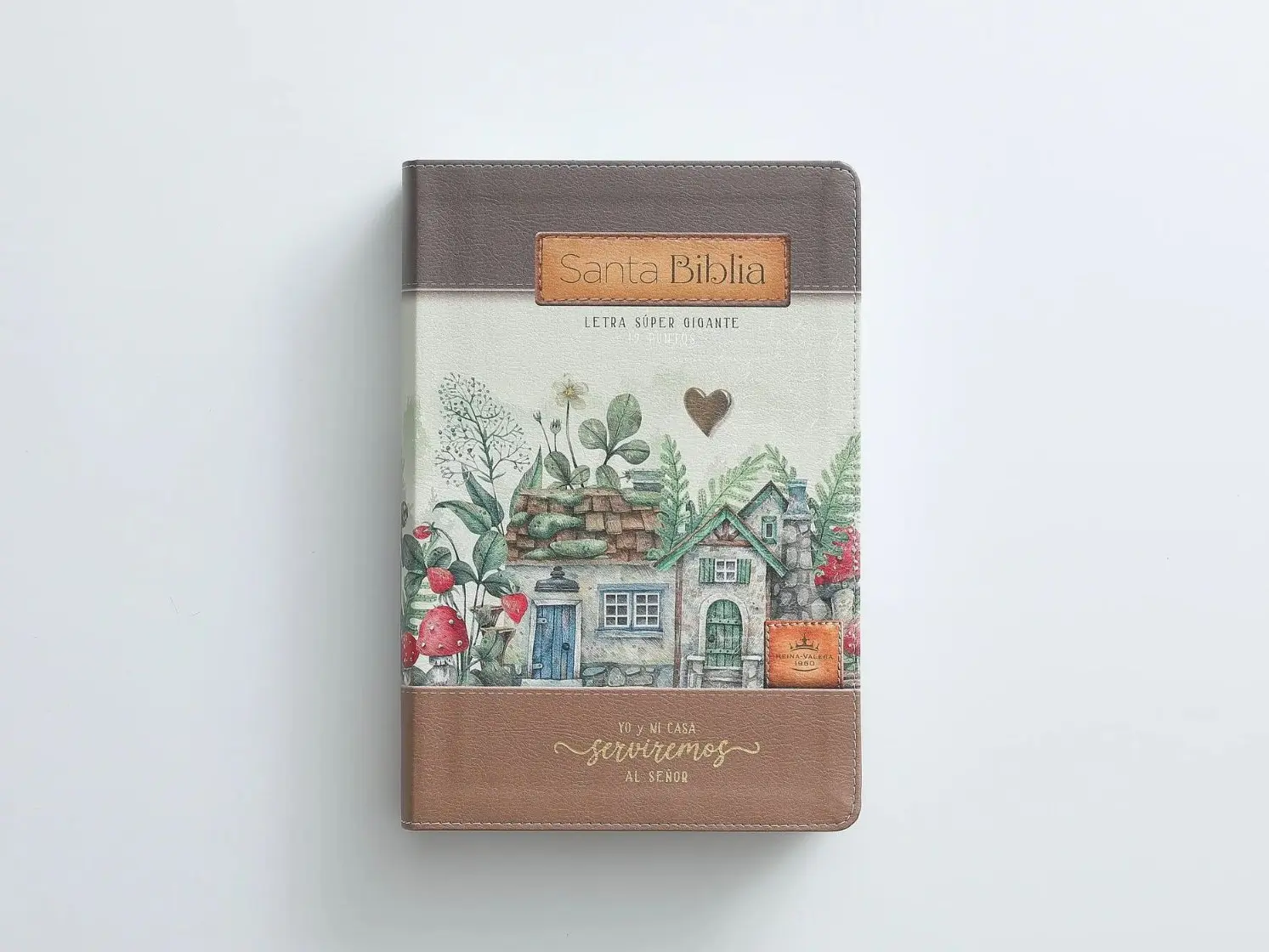Biblia RVR60 Yo y Mi Casa Letra Súper Gigante 19 Puntos