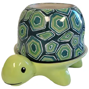 Turtle Footsie Planter