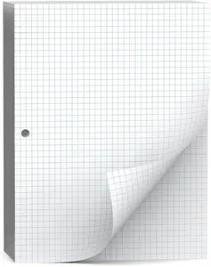 Loose Leaf Graph paper 8 x 10.5, Graph Ruled Paper, 3 Hole Punched Paper, 4 x 4 Quad Ruled Graph Paper, 10-1/2" x 8" Filler Paper Notebook Paper, 120 Sheets Graphing Paper for Business Home School