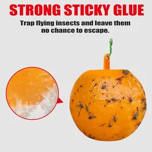 Fly Trap Ball for Citrus Fruit Flies, Sticky Traps for Garden Pest Control, Effective Fly Attractant for Vegetable Gardens