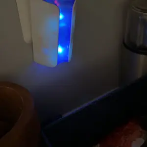 Product Review of Ever Pest Ultrasonic Pest Repeller Plug in 1 Pack- Electronic and Electromagnetic Insect Control Defender - Roach Bed Bug Mouse Rodent Mosquito Bat from c**6