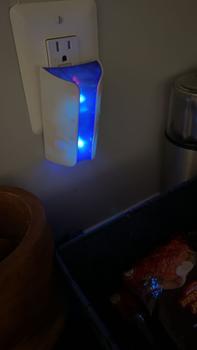 product review image from c**6 2