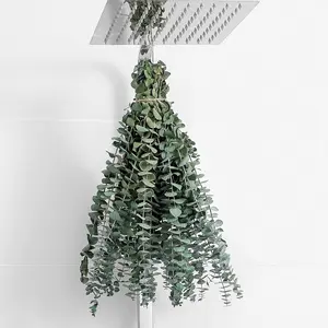 10 Pcs Dried Eucalyptus Stems 17" Real Eucalyptus for Shower Hanging 100% Made from Fresh Leaves, Wedding, Home, Farmhouse, DIY Spring Decor Bathroom Decor Home Decor
