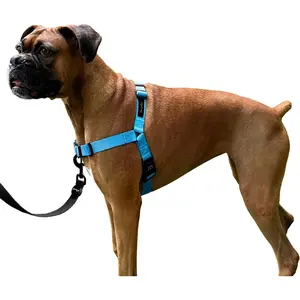 Dream Walk No-Pull Dog Harness- Adjustable, Comfortable, Easy to Use Pet Halter to Help Stop Pulling for Small, Medium and Large Dogs (Oceanic Blue, L)