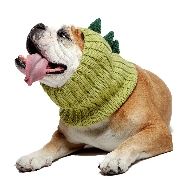 Dinosaur Zoo Snood