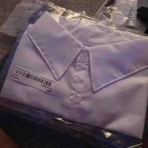 Women's Casual Plain Fake Collar, Versatile Business Neckline Accessory, Perfect for Formal Occasions, Stylish Shirt Sweater Set