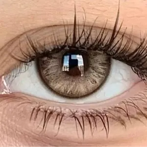 Collection Cosmetic Eye Color Enhancers for Makeup Looks – Fashion Beauty Accessory for Glam & Costume Style (Oak) Eyebrow and Eyelash Brush Set dramatic Metal Curler with Silicone Pads Lash Curler with Comb