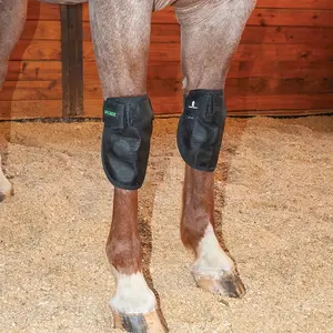 Classic Equine MagNTX Knee Wrap - Magnetic Therapy for Horse Joint Health, Recovery & Swelling