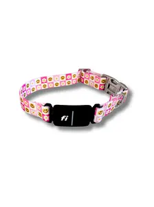 Retro Bloom Fi Compatible Collar