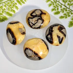 Septarian Small Pebble Agate Giraffe Dragon Stone