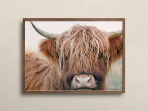 Brown Highland Cow, Rustic Cow Printable, Farmhouse Highland Cow Poster, Shaggy Cow Photography, Brown Cow Digital Art, Farmhouse Cow Photo