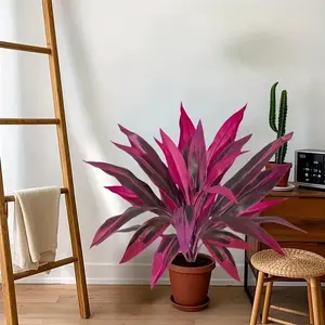 ➤ 【Sculptural Sanctuary】Artificial Dragon Blood Tree ｜ Instant Zen Oasis For Your Living Room