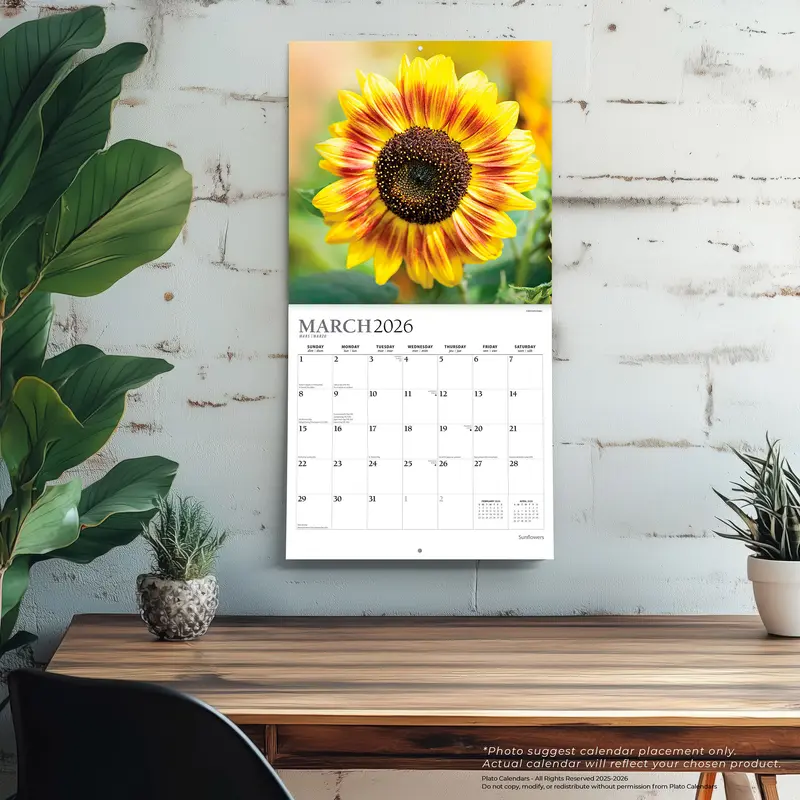 Sunflowers | 2026 12 x 24 Inch (Hanging) Monthly Square Wall Calendar | Foil Stamped Cover | Plato | Flower Floral Plant Outdoor Nature 4
