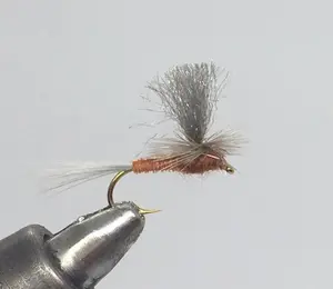 One Dozen (12) - Parachute Mahogany - Dry Fly
