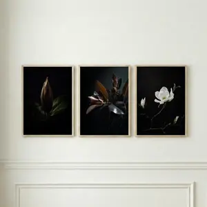 Dark Botanical Wall Art Set of 3 Posters, Moody Floral Poster Collection, Black Background Flower Prints, Modern Minimal Home Decor