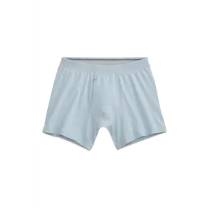 SILVER Boxer Brief