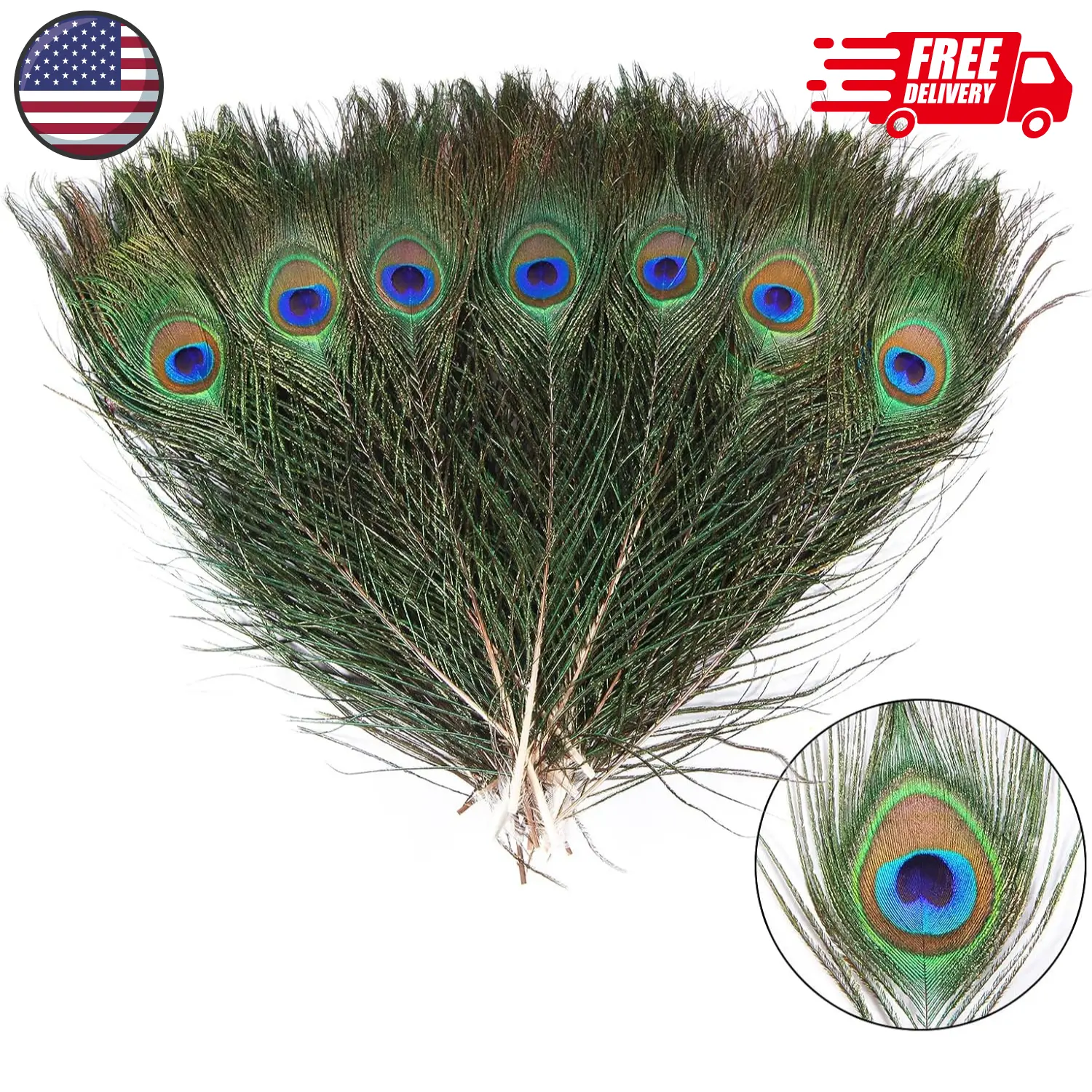 12pcs Peacock Feather Natural in Bulk 10-12 inch 25-30cm