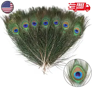 12pcs Peacock Feather Natural in Bulk 10-12 inch 25-30cm