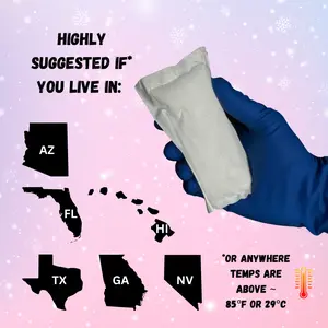 Cooling Ice Pack Bag- Secure your Snacks & Candy - Up to 48 Hours Cooling - Food Safe Transit Pouches - Durable Design - Ships with your candy order!