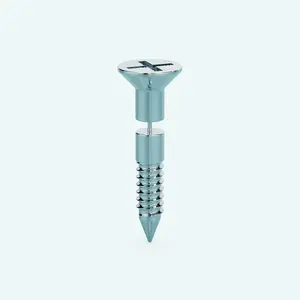 Screw Earring - Short