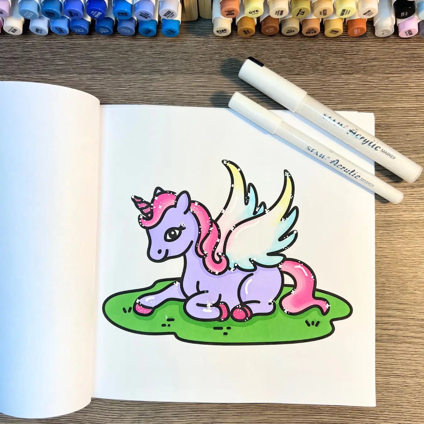 SFAIH Acrylic Paint Marker Set – 3MM Medium Tip & 0.7MM Extra Fine Tip