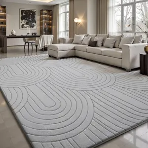 Large Plush Shaggy Area Rug - Soft Non-Slip Floor Carpet for Bedroom Decor, Rugs for Living Room
