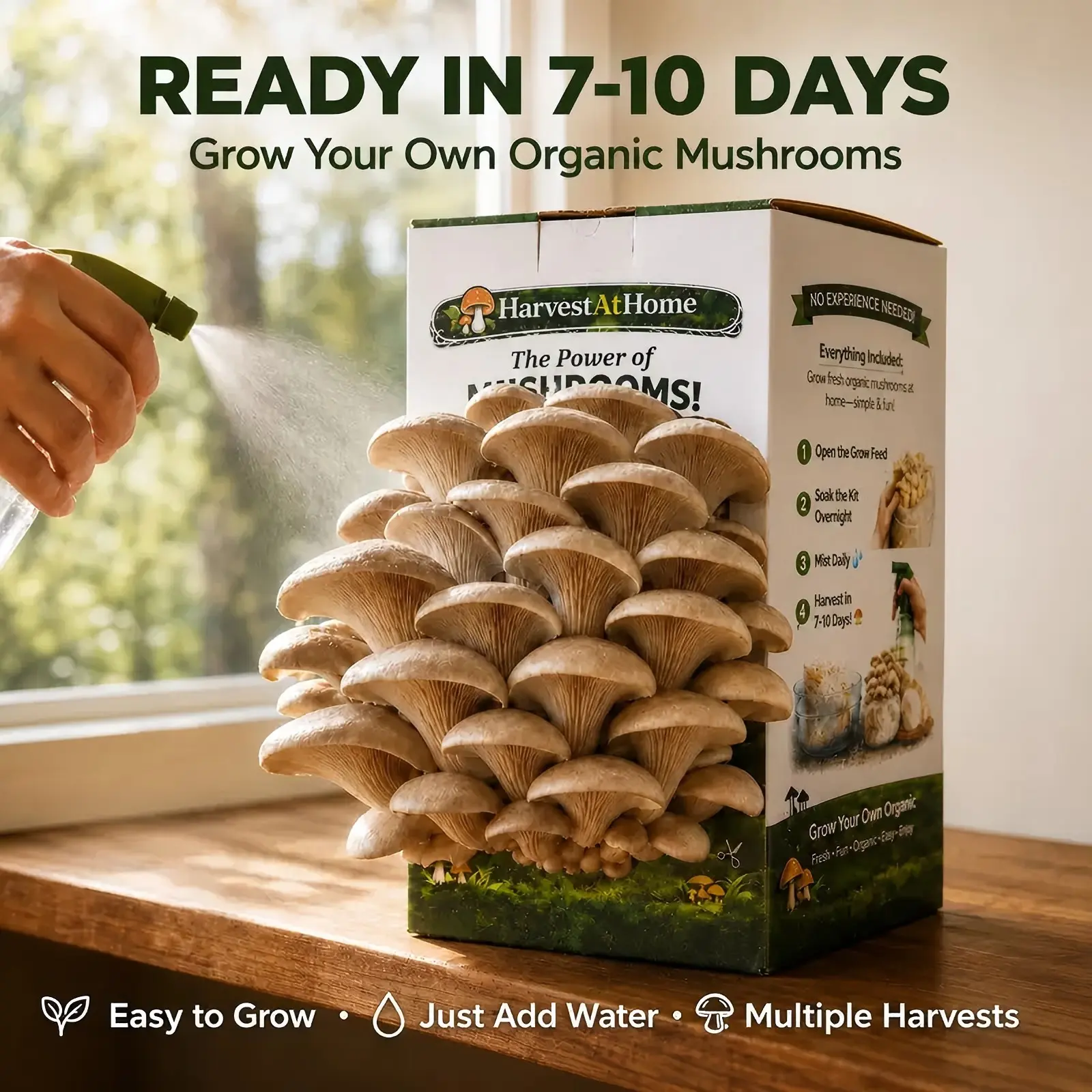 Organic Oyster Mushroom Grow Kit 3.5 lb | 1-7 Days Harvest|Easy to Grow Indoor|No Soil/Sun Required, Multiple Harvests | USDA Organic | Non-GMO | Made in USA | Perfect for Home Kitchen & Gardening Enthusiasts Gift for Adults & Kids Sold by Harvest At Home