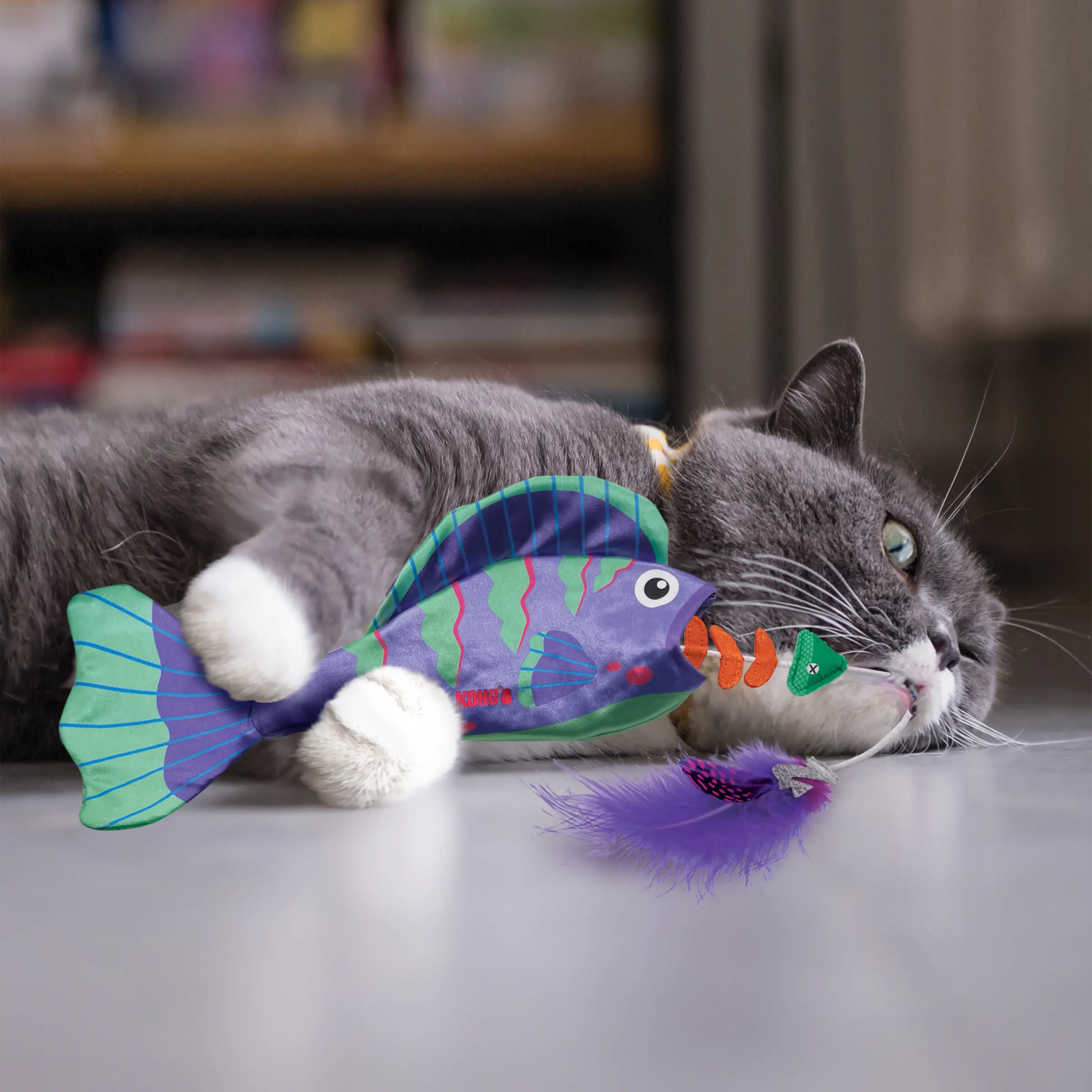 KONG Wrangler Angler Fish Assorted Cat Toy
