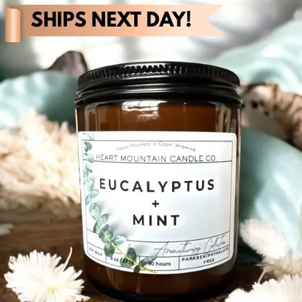 Natural Candle Allergy Remedy Sinus Light Eucalyptus Scent Mint Aroma Camphor Candle for Breathing Wellness Gift Idea Congestion Care Candle