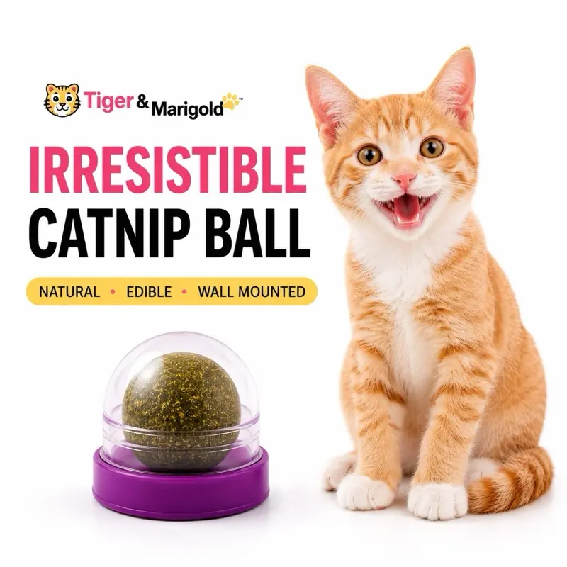 Catnip Toys Balls, Extra energy Ball, Edible cat Toys for cats Licking, healthy teeth, cats wall treats (different colors to choose) Engaging Snack