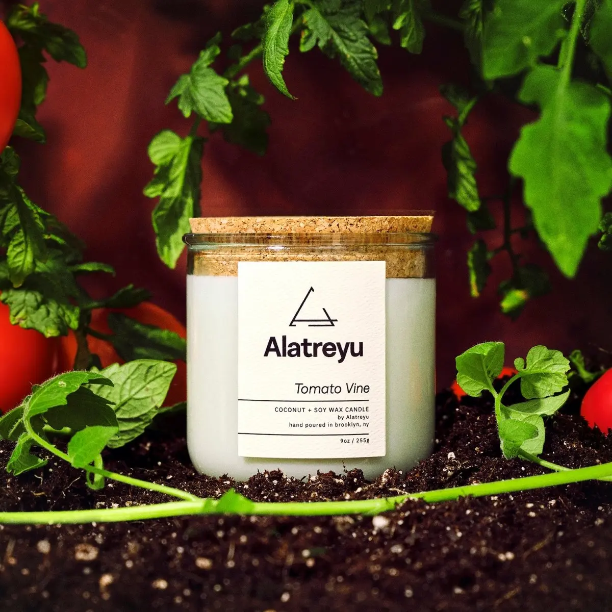 Tomato Vine Candle | Citrus · Tomato Leaves · Top Soil | 100% Coconut + Soy Wax | Pay What You Can