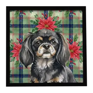 Carolines Treasures WDK8837MFP88 8 x 8 in. Black & Tan Tibetan Spaniel Christmas Poinsettias Framed Metal Print