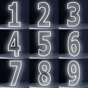 Glowing LED Neon Light 0-9 Numbers, Sign Wall Decor Lamp, Birthday Party Anniversary Wall Decoration, USB Powered Adjustable Switch, Led Light Backlit