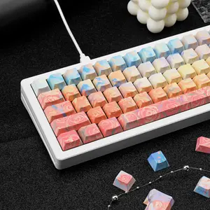 Rose Coast 131 Keys OEM Profile PBT Keycaps, Dye Sublimation Side Lit Gradient Oil Painting Style, Compatible with Cherry MX Switch Mechanical Gaming Keyboard