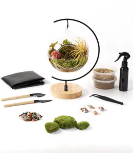 SkyLoop Hanging Terrarium – DIY Mini Garden in a Glass Globe for Relaxing Home Décor