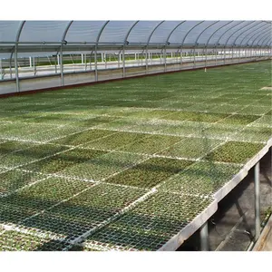 RSI Hydroponic Seed Trays - 128 plugs, 2 Pack