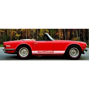 Custom Triumph Lower Rocker Stripe Complete set (2)