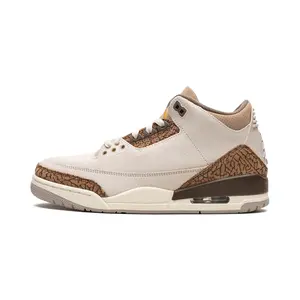 Air Jordan 3 "Palomino" CT8532 102