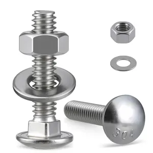 1/4-20 x 2 Carriage Bolts 304 Stainless Steel 18-8,Round Head Square Neck (20Sets) Bolts and Nuts Kit with Flat Washers