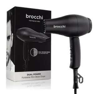 BROCCHI - Foldable Dual-Power Mini Travel Dryer