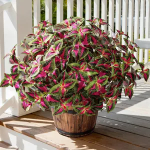 10 Pcs Artificial Plants Outdoors, UV Resistant Outdoor Artificial Plants Faux Coleus Bush, Realistic Silk Plants for Outdoor Hanging Baskets, Patio Garden Porch Decor