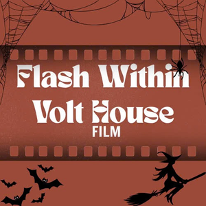 Flash Within Volt House