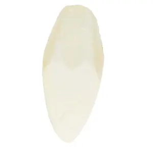 30002 Large Cuttlebone