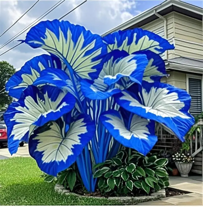2 Pack 800pcs Mixed Flower Seeds for Planting, Assorted Garden Flower Seeds, Seeds Only, Not Live Plants
