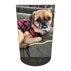 Amputee Sock "Linda Dog BTKA" 3ply stump sock, Prosthetic Limb Sock