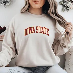 Iowa State Sweatshirt, Iowa Sweatshirt, Iowa Hoodie, Iowa Crewneck, Graduation Gift, College Sweater, Gift For Men, Women