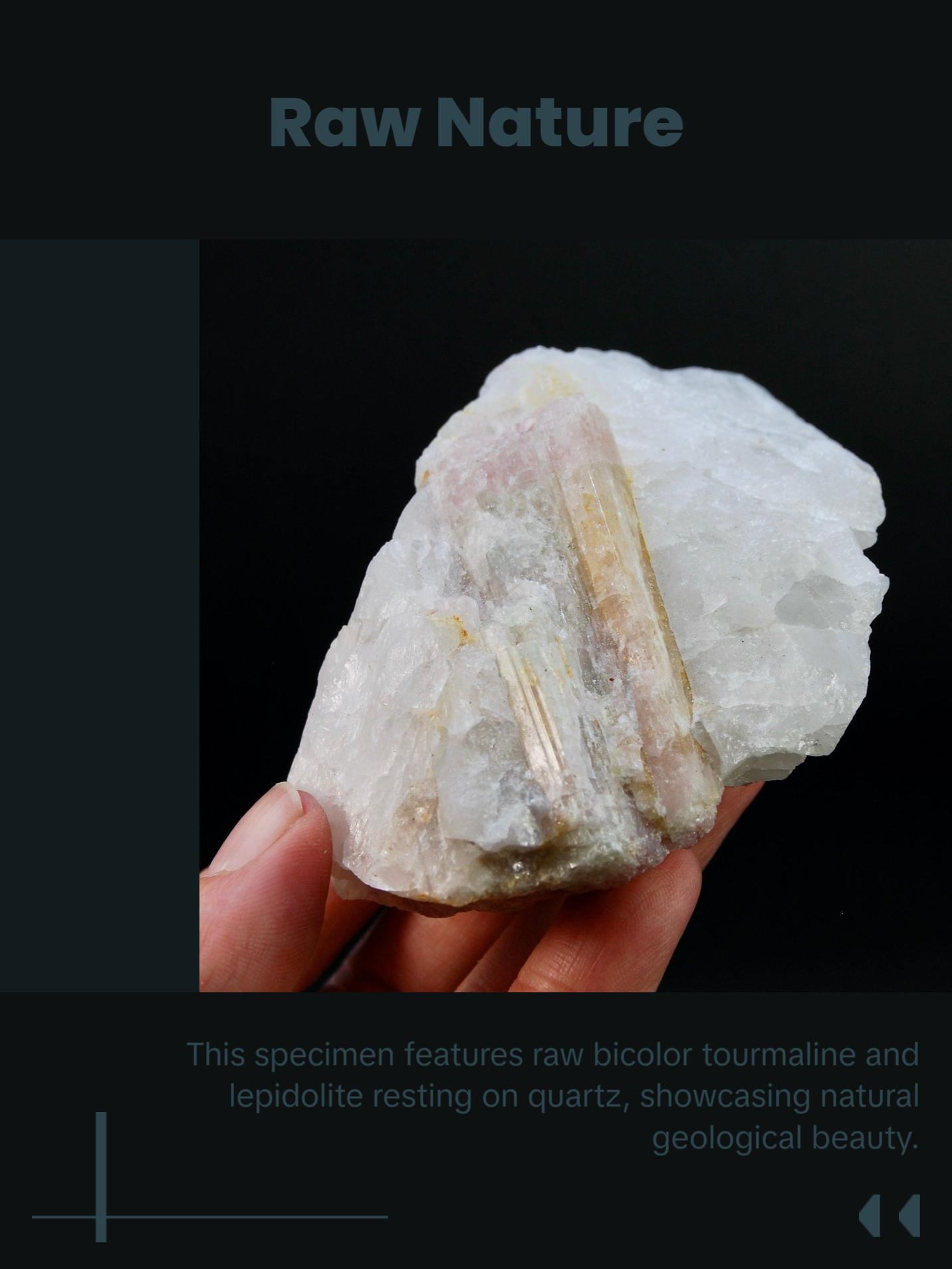 3.8in 327g Raw Tricolor Tourmaline Lepidolite Crystal on Quartz Matrix, Brazil