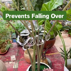 Plant Branch Support Pole Anti-Fall Bracket Holder, Bamboo Water Cultivation Stand, Plant Flower Rack, Garden Stabilizer