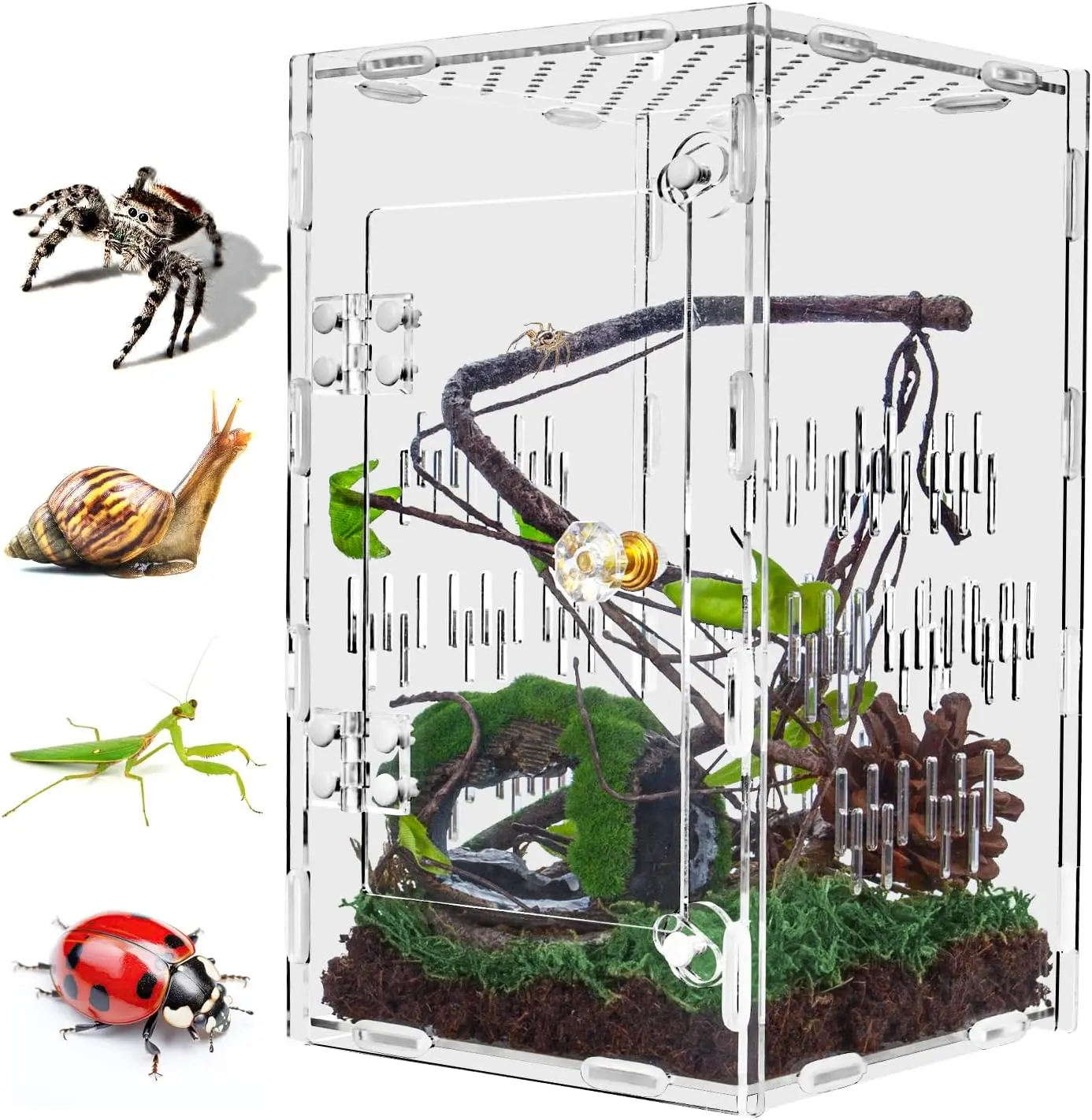 Large Plastic Ventilated Insect Terrarium Cage, 360° Full View Acrylic Reptile Habitat with Front Opening Door, 9.8"h*5.9"l*5.9"w Cosy Home for Arboreal Tarantulas, Snails, Small Lizards, Easy For Diy & Disassemble